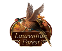 Laurentian Forest - Kitchener